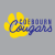PAW PRINT LOGO